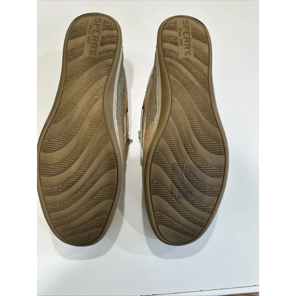 Sperry songfish boat